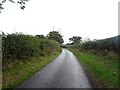 Hall Road towards Neatishead Hall in NR12 8XU