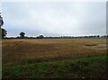 Stubble field, Workhouse Common in NR12 8BL