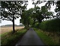 Minor road towards Neatishead in NR12 8BL