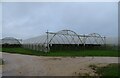 Polytunnels off Church Road in NR12 8RG