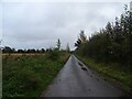 Church Lane towards Smallburgh in NR12 8RG