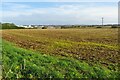 View over the fields towards the wind farm in NN15 6XS