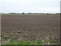 Prepared field near Horsington in Horsington