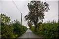 Corston : Country Lane in BA2 9HB
