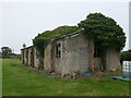 Ivy covered shed, Tattershall Thorpe in Tattershall Thorpe