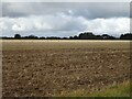 Stubble field near Brunstead Grange in NR12 9HB