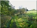Track approaching former mill chimney in SK6 8HA