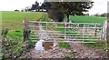 Gate across track to Rain Hall Farm in BB18 6JQ