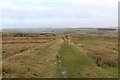 Trackway on Whinberry Naze (1) in BB4 6HY