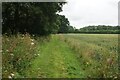 Field edge path near Gunby Hall in PE23 5TJ