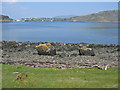 Rocky beach east of Camas Ban in IV51 9NG