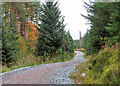 Track in Morinsh Forest in AB37 9DQ