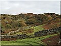 Dry stone walls and pocket fields at Carneddi in LL55 4YH