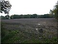 Ploughed and prepared field in TF9 2HX