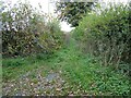 Field access path, now overgrown in TF9 2HX