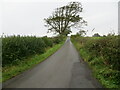 A hedgelined Watchall Road heading in the direction of Annan in DG12 6SJ