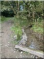 Muddy track and stream through woodland in SA44 6AX