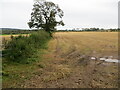 Harvested fields near Windyknowe in DG12 5LW