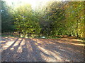 Junction of two paths, Cadira Beeches, Wentwood  in NP16 6RH