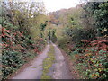 Llwybr a ffordd fynedfa / Path and access road in SA65 9TA