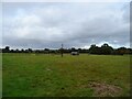 Grazing, Primrose Farm in Wood Dalling
