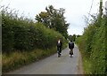 Cyclists on Heydon Road in Wood Dalling