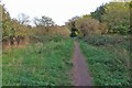 Footpath into Dog Kennel Spinney in NN15 5AE