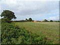 Stubble field off Green Lane in Guist