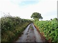 Green Lane towards Upper Guist in Guist