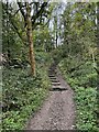 Steps in Blackdale Howl Wood in YO62 5EN