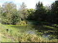 Pond by the Chew in Litton in BA3 4PN