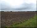 Stubble field off Twyford Lane in NR20 5RD