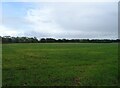 Crop field off Kerdiston Road in Themelthorpe