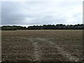 Stubble field off Kerdiston Road in NR20 5PT