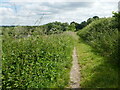 Footpath to Nafford Lock in WR10 3DH