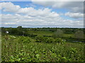 View over the River Avon near Nafford Lock in WR10 3DH