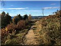 Path near Kinnesswood in KY13 9JS