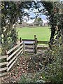 Gate, for footpath exiting wood in LL14 6RP