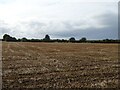 Stubble field near Buxton in Buxton Ward