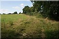 Footpath to Much Hadham in SG10 6HY