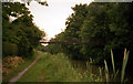 Stowell Park Footbridge 116, Kennet and Avon Canal in SN9 5NN