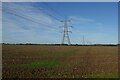 Electricity pylons in PE28 5AP