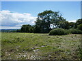 Grassland, Mudgley Hill in BS28 4XN