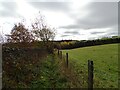 Path over the fields at Burnhope in DH7 0EA