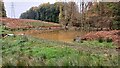 Pond under the power lines in SO52 9NP