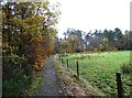Top of the path at Fellside Plantation in DH7 0EA