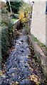 Earby Beck viewed from bridge taking footpath from Earlham Street in BB18 6RP