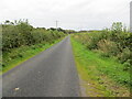 Hedge enclosed minor road near Mackwhinny Park in DG12 5QA