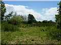 Rough grazing, Tadham Moor in BS28 4UF