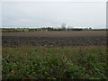 Ploughed fields, High Marnham in High Marnham